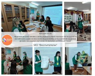 "Психолого-педагогическое сопровождение детей с особыми образовательными потребностями"